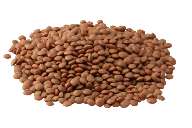 imgProduct